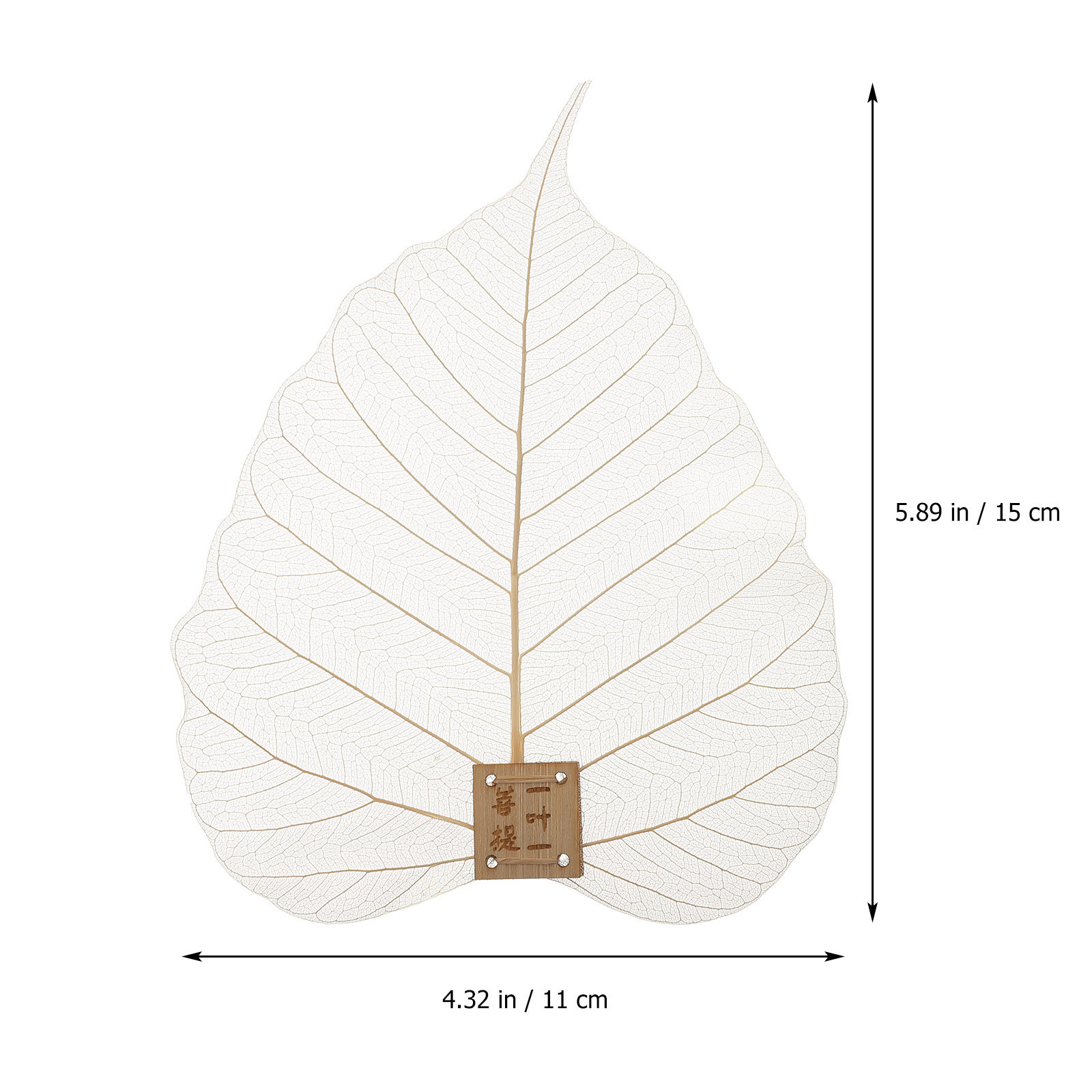 Saringan Filter Bentuk Daun Ja - Home Bar Supplies ulasan dan harga